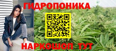 МДПВ Новокубанск