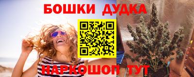 МДПВ Новокубанск