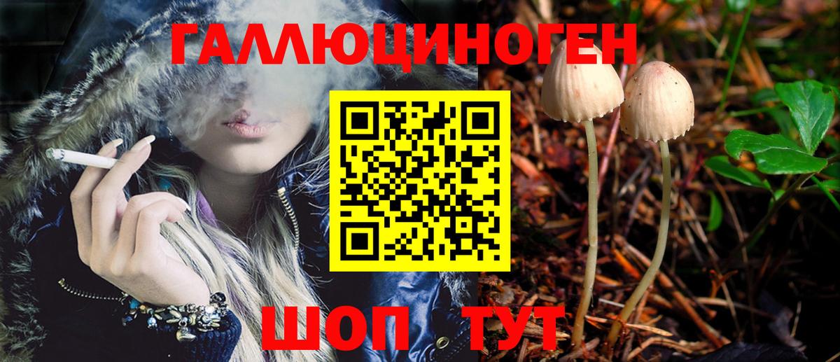 Псилоцибиновые грибы Psilocybe Саянск